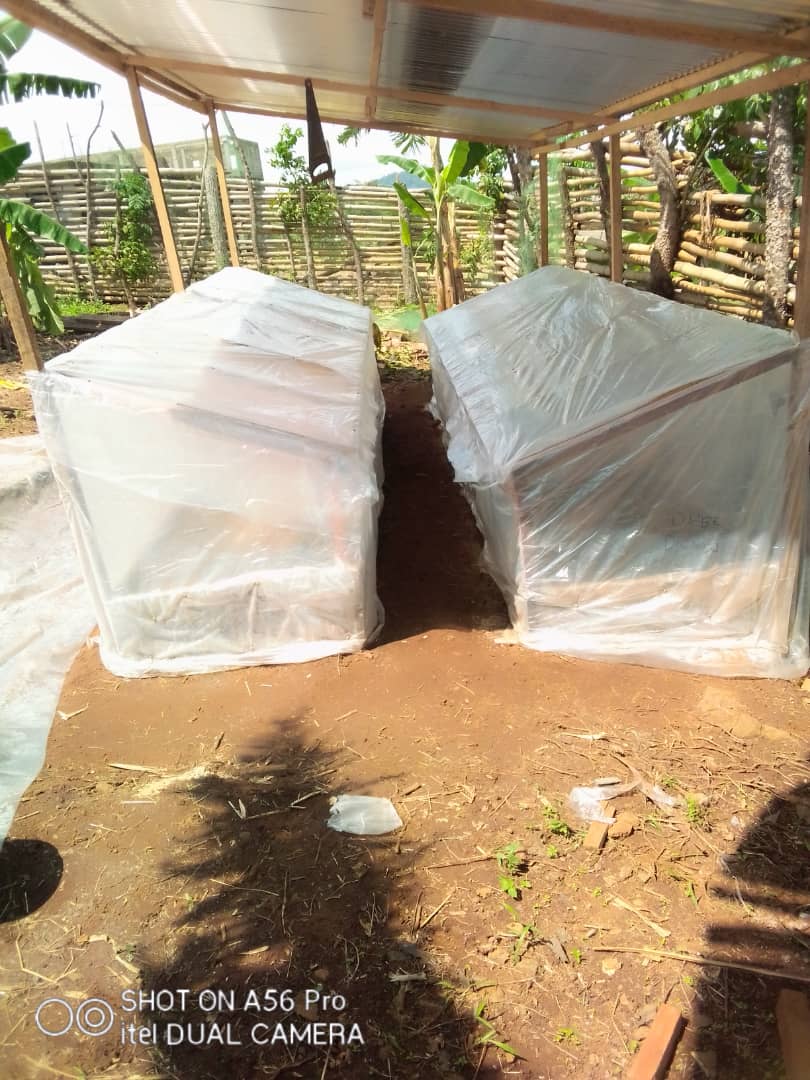 WhatsApp Image 2025-07-10 at 11.07.36 AM (1)