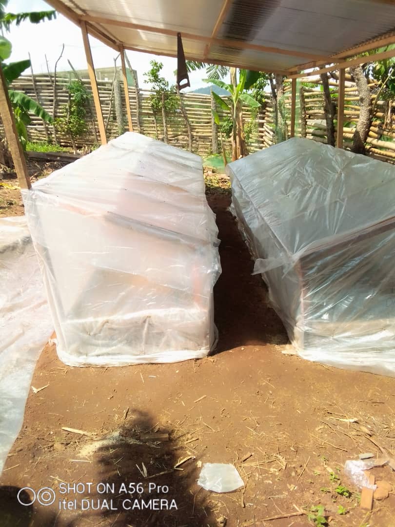 WhatsApp Image 2025-07-10 at 11.07.36 AM