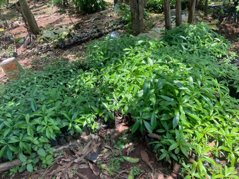 FAFSAR’S FASTEC PROJECT